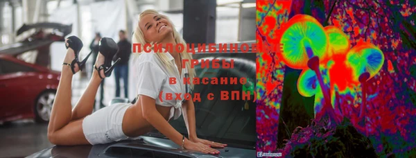 хмурый Горнозаводск