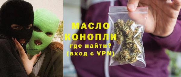 молекула духа Горняк