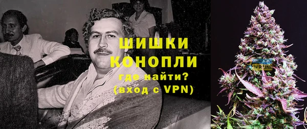 молекула духа Горняк